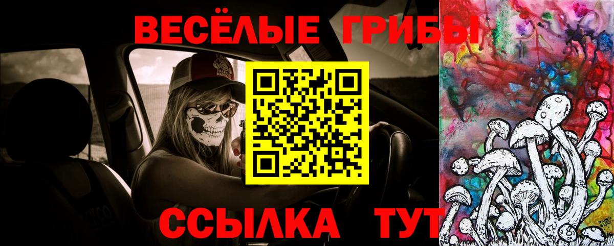 Галлюциногенные грибы Magic Shrooms Ефремов