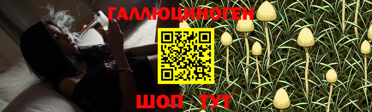 Галлюциногенные грибы Psilocybine cubensis  Галлюциногенные грибы Cubensis  Вход с VPN  Ефремов 